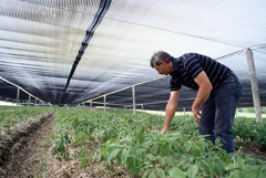 Environmental solutions to farmers, agriculturalists and hortlculturalists