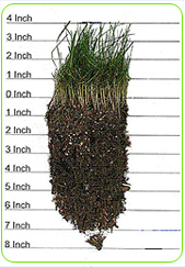 Laboratory results of Techno - Green products