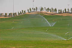 Establishment and maintenance of the grass and landscaping with the use of their water conservation product “Aqua-Feed” in the soil profile 