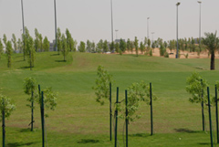 Techno-Green’s - Nature’s Bio Organic Soil Amendment was selected to control and minimise this concern