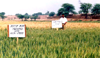 Agricultural results of Aqua Feed