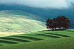 Nature's Bio promotes soil aeration