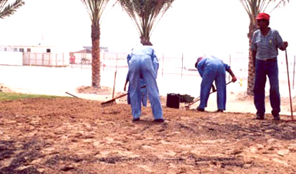 Natural organic compost