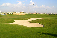 Excellent results by using Soil amendment products