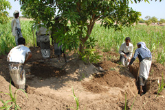 AquaFeed For Agricuture