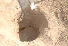AquaFeed has a great ability to absorb more moisture from soil 