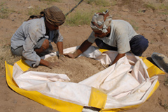 Agricultural Solutions for Arid and semi-arid regions